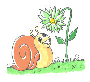 little_snail_fr001001.jpg