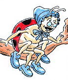 little_snail_fr002002.jpg