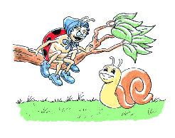 little_snail_fr003002.jpg